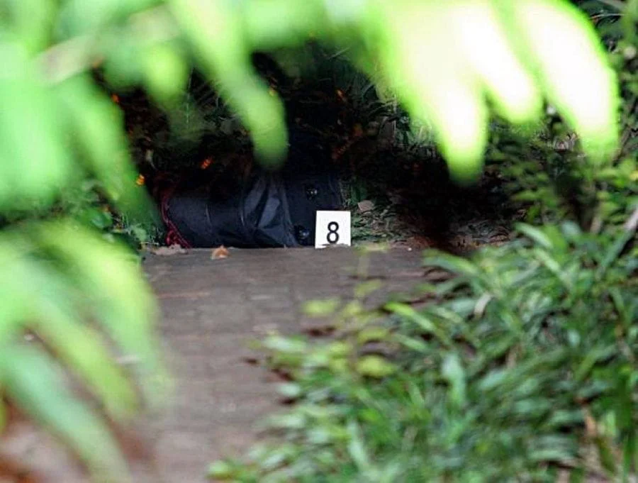 Валіза з тулубом убитої